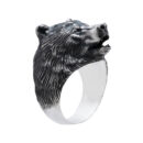 aanibear001a