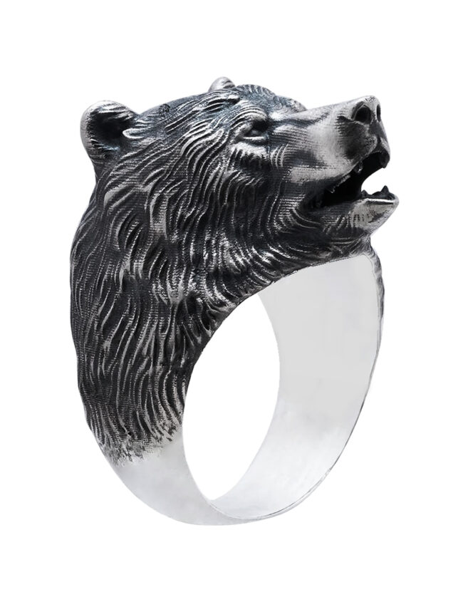 aanibear001a