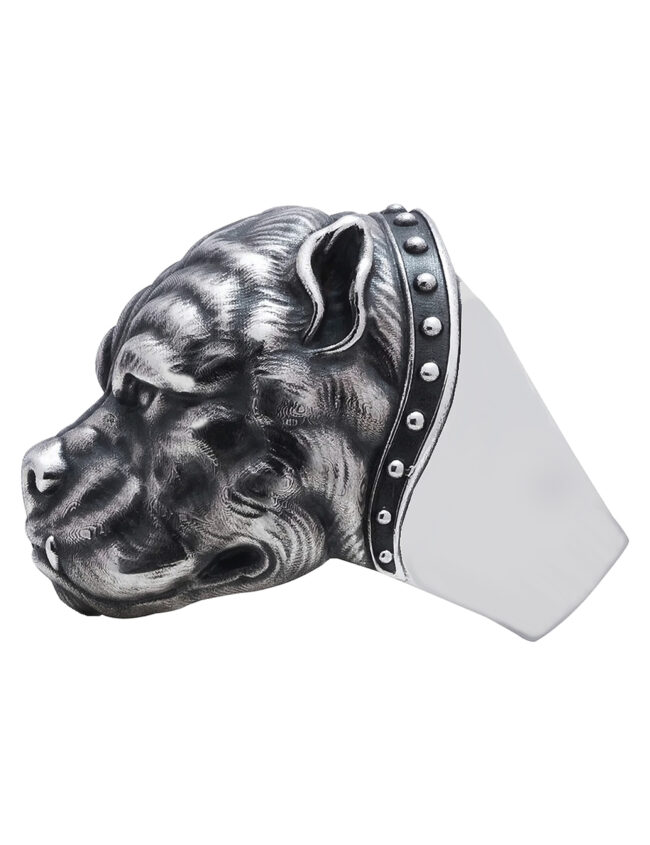 aanidogr001a