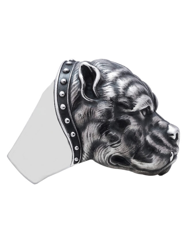 aanidogr001b