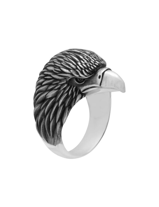 aanieagr001a