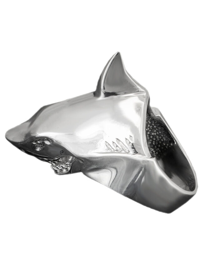aanifishr001a