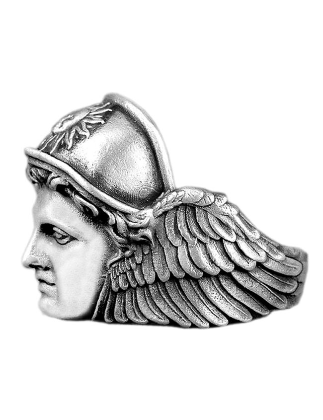 aanigrherr004d