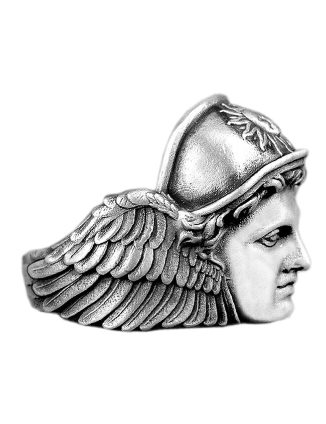 aanigrherr004e
