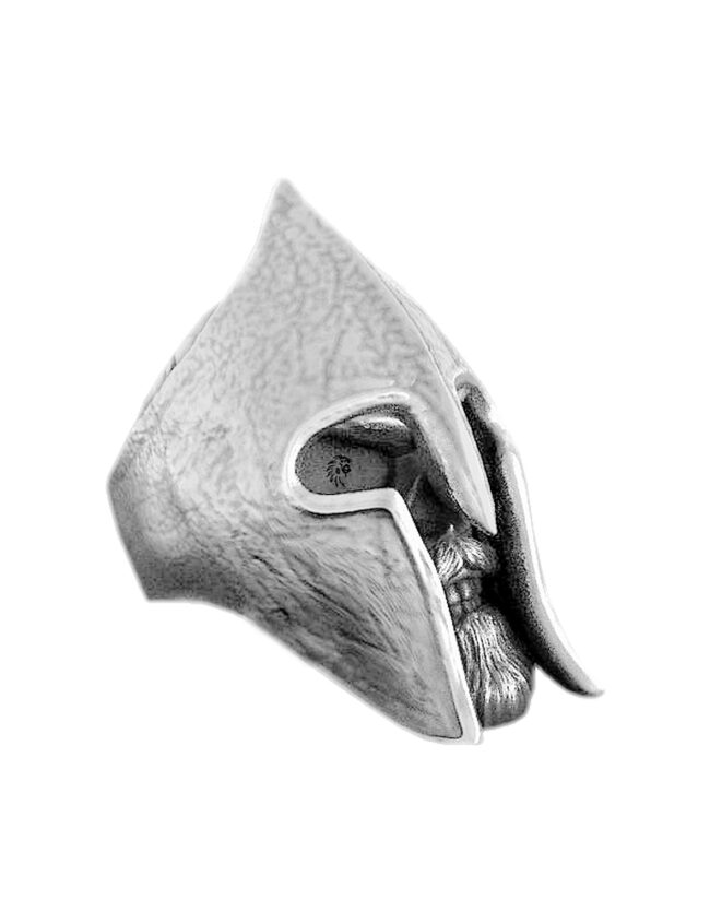 aanigrspar002b aanigrspar002b