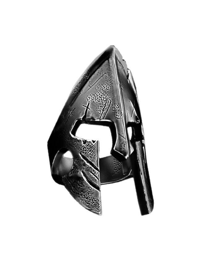 aanigrspar018c