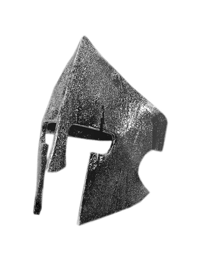 aanigrspar020a aanigrspar020a