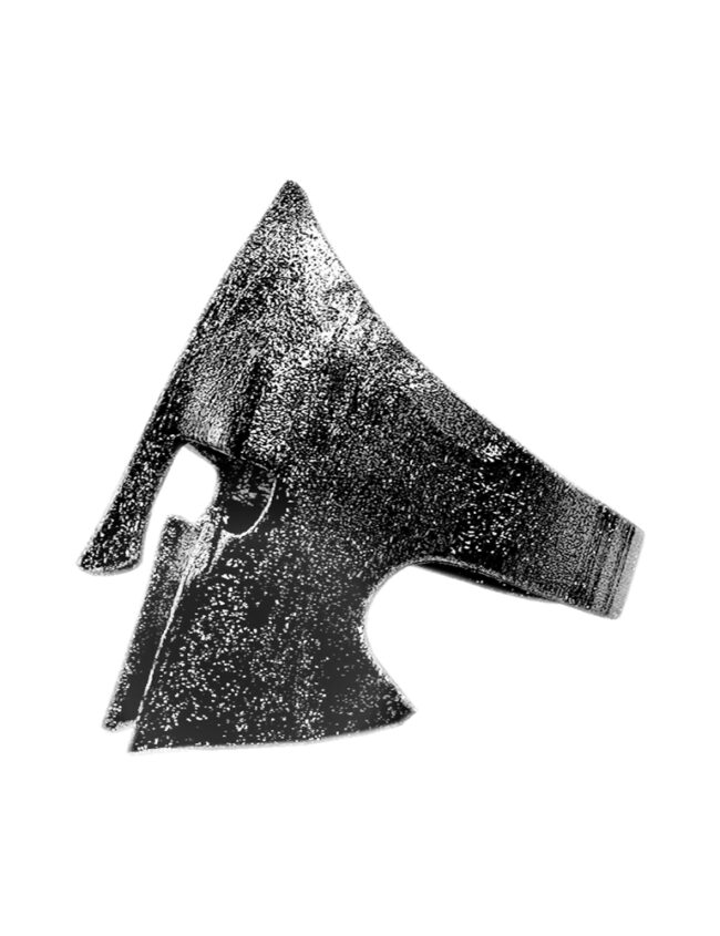 aanigrspar020b aanigrspar020b