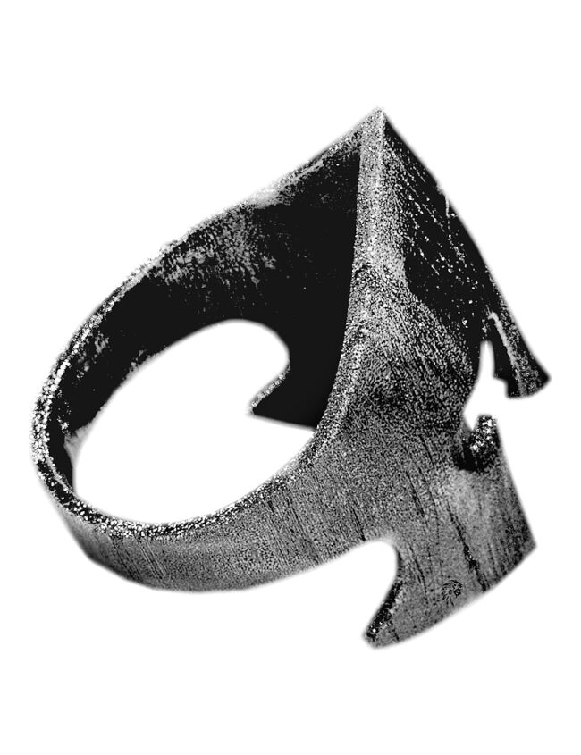 aanigrspar020c aanigrspar020c