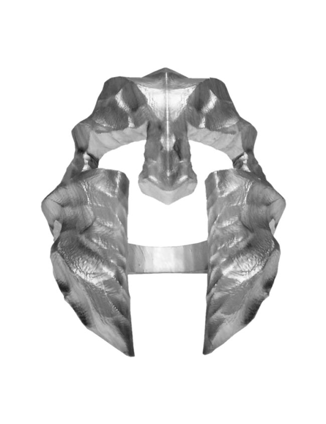 aanigrspar035