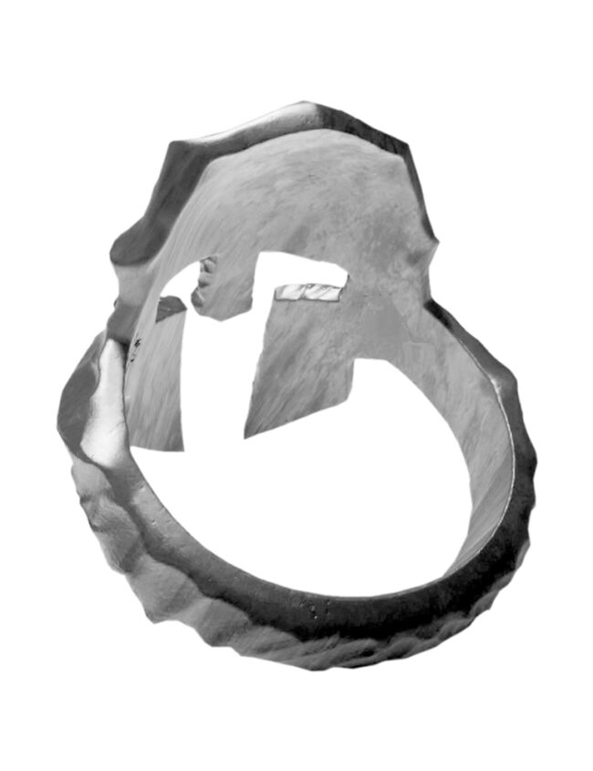 aanigrspar035c