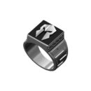 aanigrspar040b