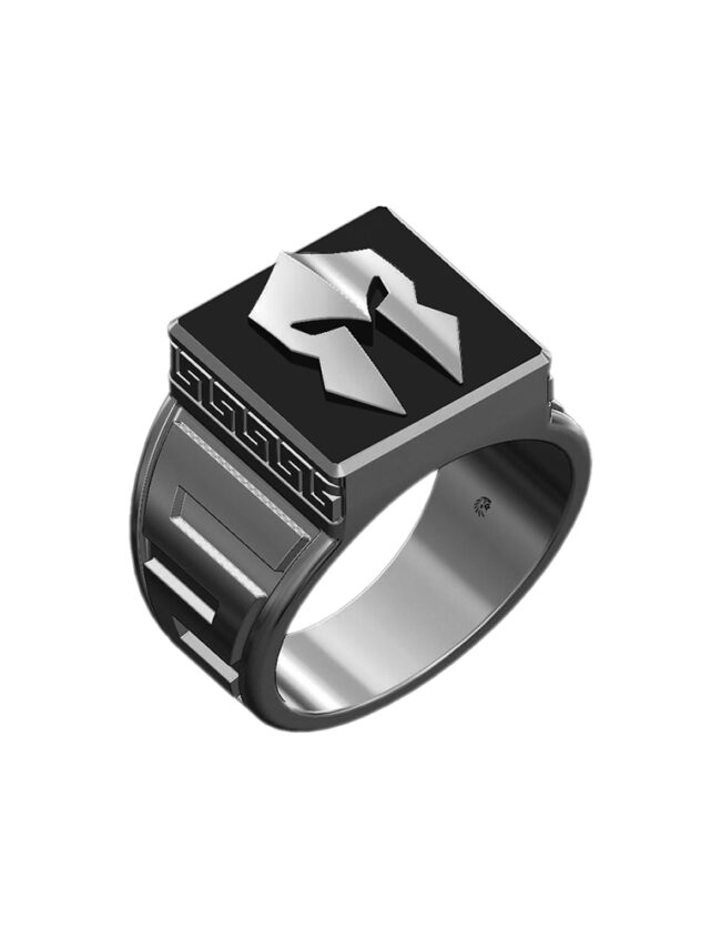 aanigrspar040c aanigrspar040c