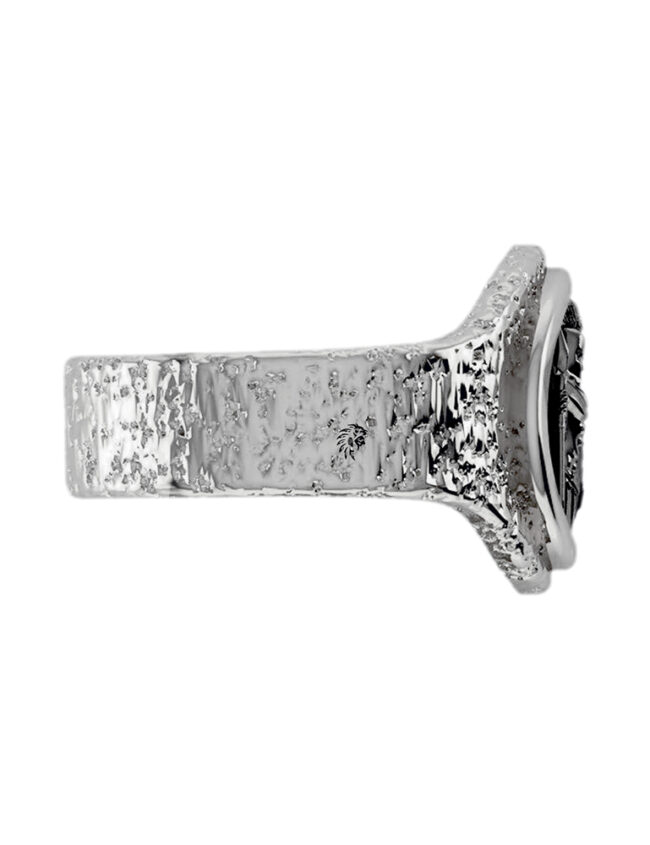 aanigrspar042b