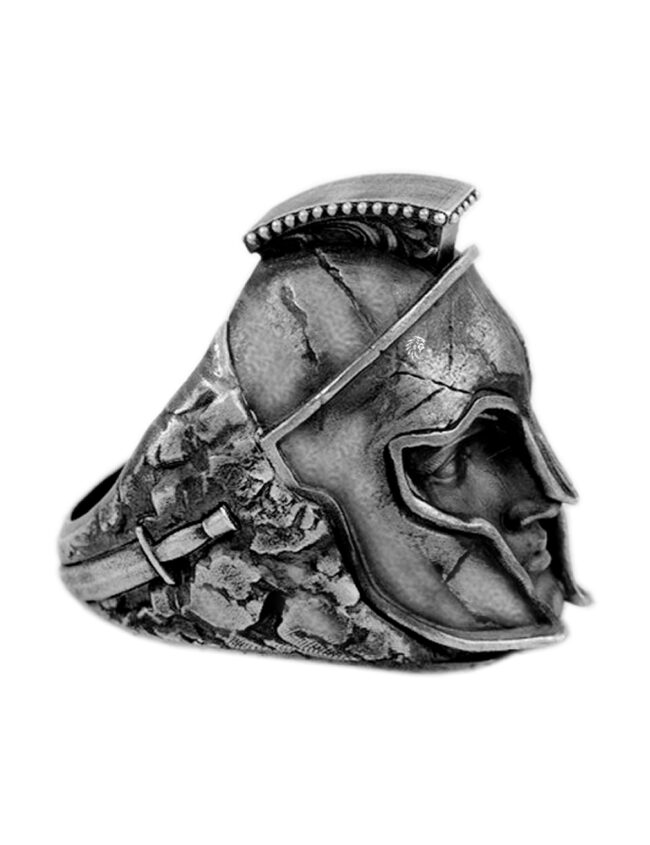 aanigrspar044a
