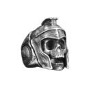 aanigrspar045a