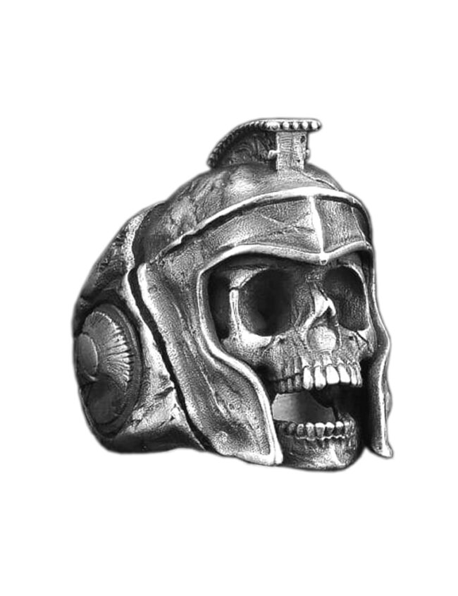 aanigrspar045a