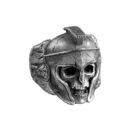 aanigrspar046d