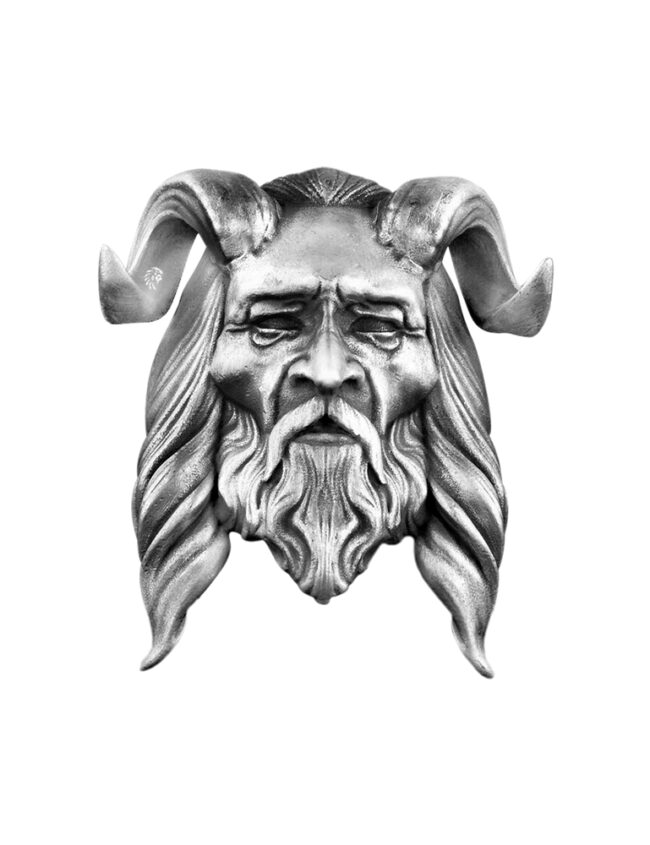 aanigrisatyr001