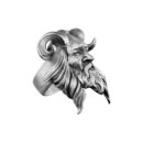 aanigrisatyr001a