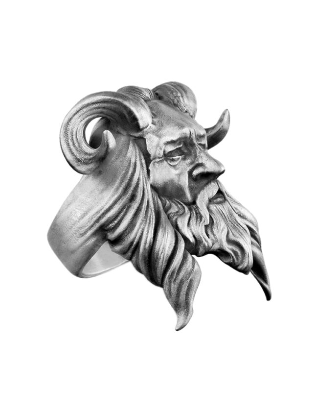 aanigrisatyr001a
