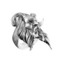aanigrisatyr001b