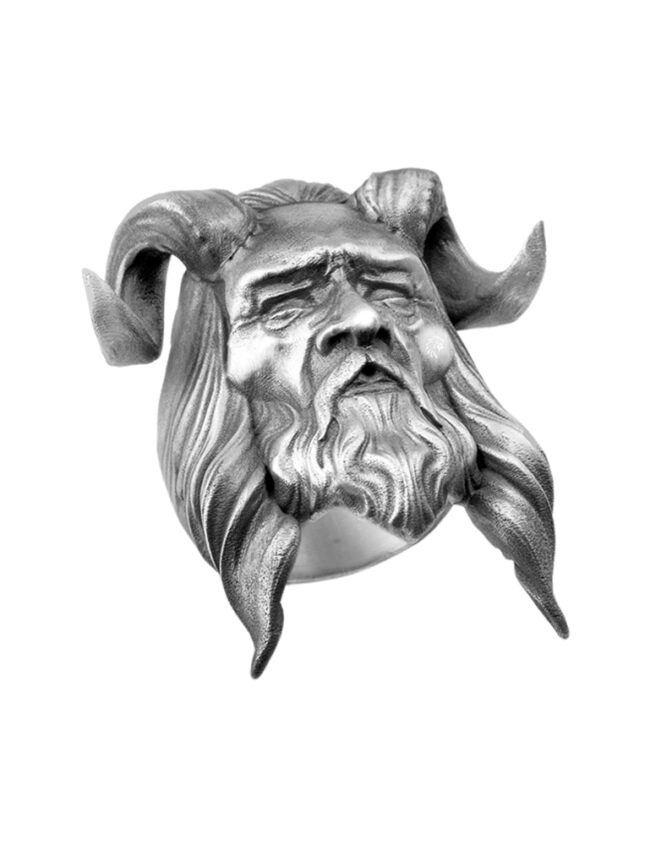 aanigrisatyr001c
